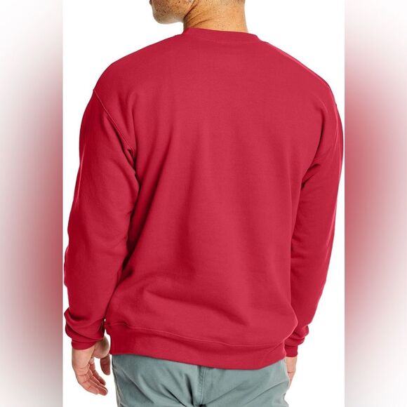 Hanes Men's Ecosmart Fleece Sweatshirt Cotton-blend Crewneck (568) - Picture 2 of 5